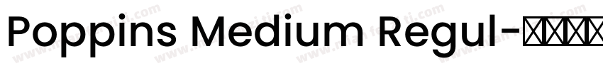 Poppins Medium Regul字体转换